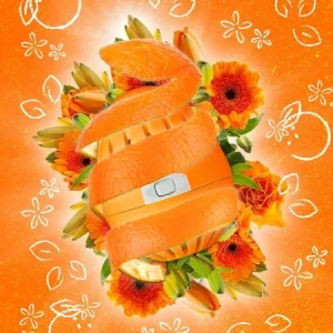 Ecoegg - Αυγό πλυντηρίου ρούχων - Laundry Egg - Orange Blossom